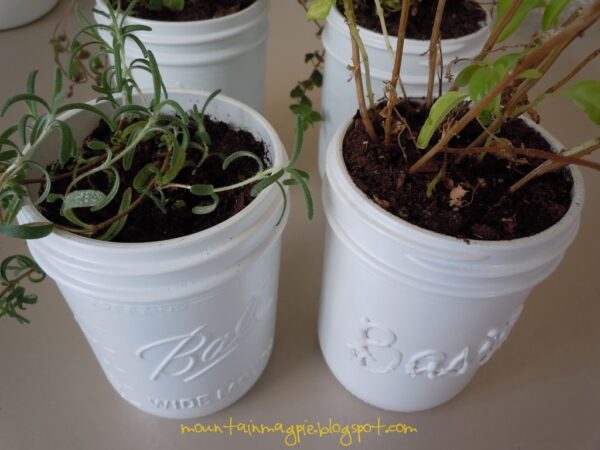 Growing Herbs on the Windowsill {Gypsy Magpie}