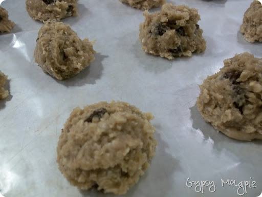 My Easy Out for Quick Homemade Cookies {Gypsy Magpie}