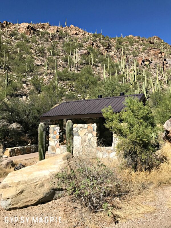 Picnic Area in Sabino Canyon | Gypsy Magpie