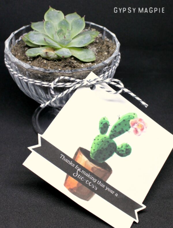 Darling little teacher gift idea using succulents and old glass. Free printable too! 