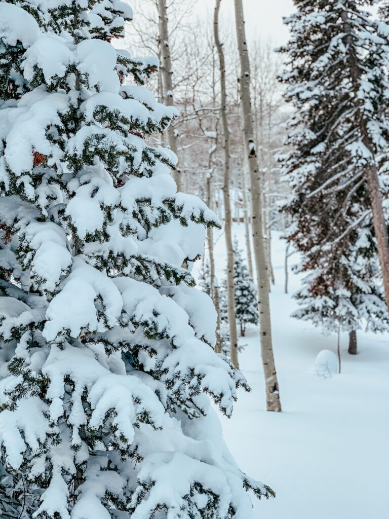 reflecting on 2019 in the snow covered mountains of Utah | gypsy magpie