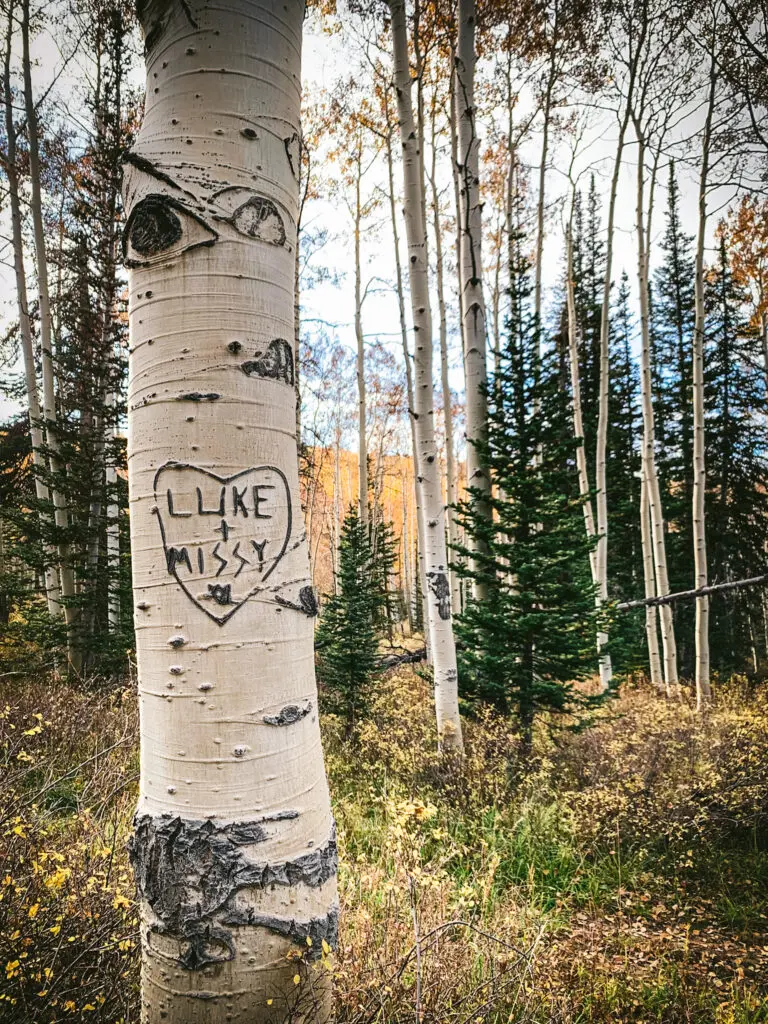 Journal prompts for the changing seasons