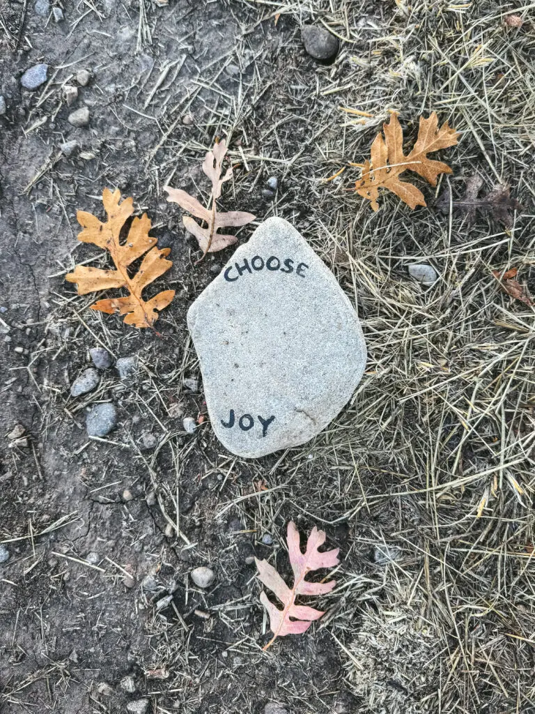 choose joy intentions | gypsy magpie