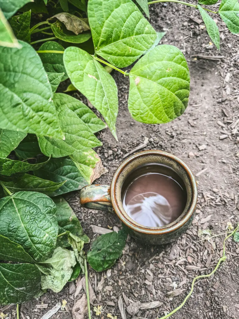 rest under the bean trellis | gypsy magpie