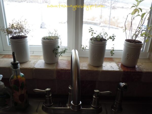 Growing Herbs on the Windowsill {Gypsy Magpie}
