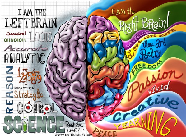 Left Brain Right Brain Illustration