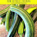 How to Freeze Zucchini {Gypsy Magpie}