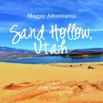 Magpie Adventures: Sand Hollow {Gypsy Magpie}
