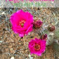 Magpie Adventures- Red Reef Trail {Gypsy Magpie}