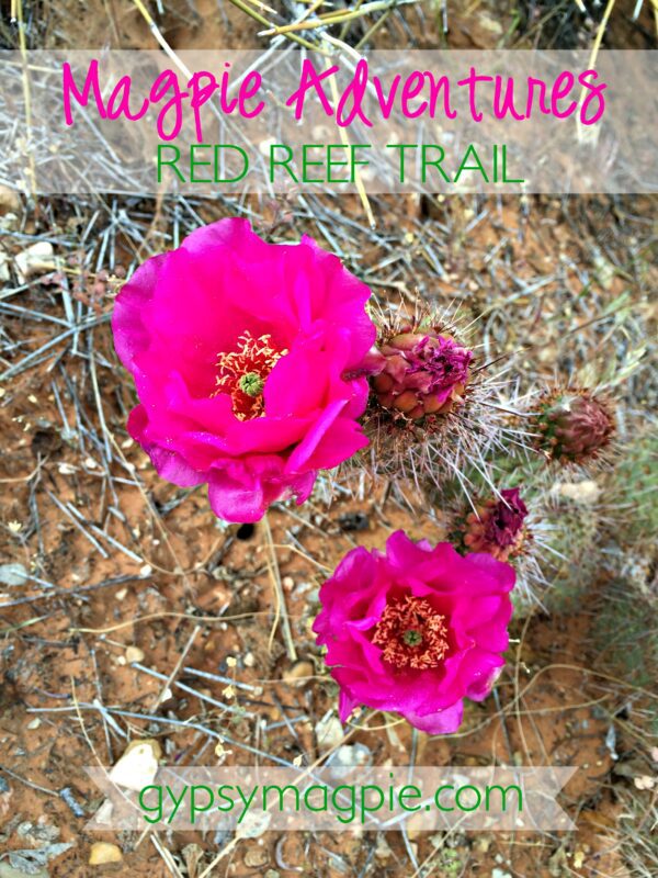 Magpie Adventures- Red Reef Trail {Gypsy Magpie}