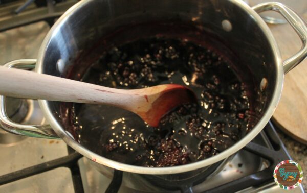 How to make homemade grape juice {Gypsy Magpie}