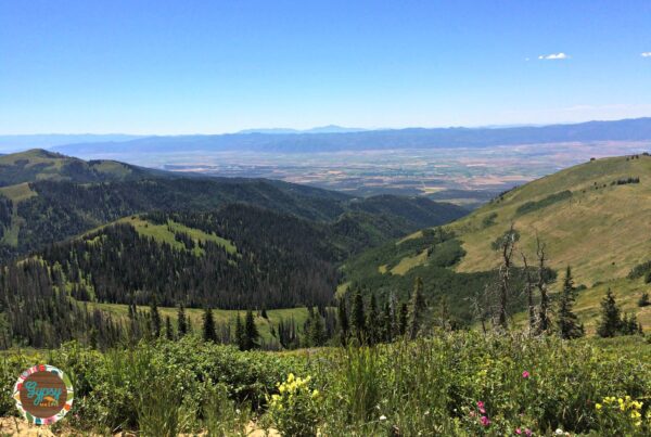 Looking for a fun Utah outdoor adventure for your family this fall? Skyline Drive and the Arapeen ATV Trail System are calling your name! {Gypsy Magpie}