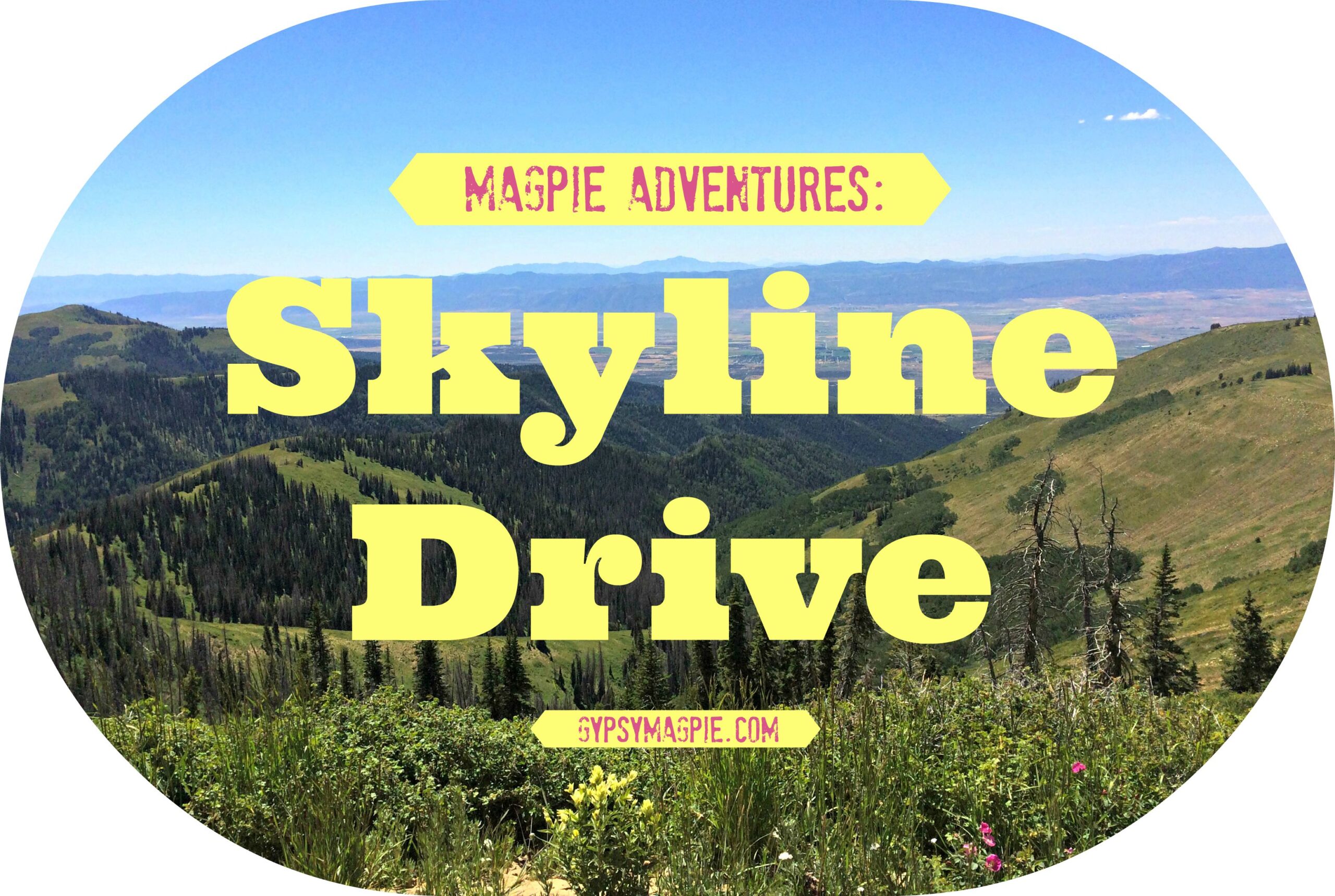 Looking for a fun Utah outdoor adventure for your family this fall? Skyline Drive and the Arapeen ATV Trail System are calling your name! {Gypsy Magpie}