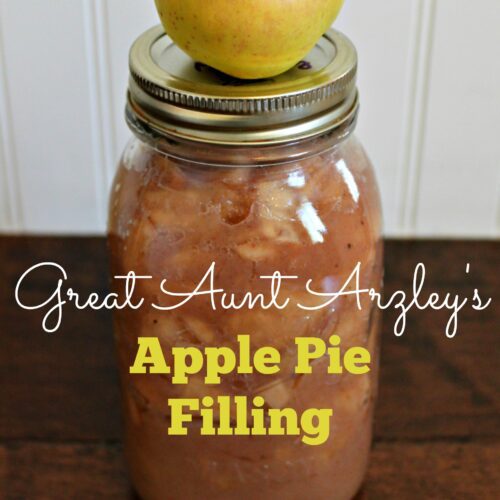 Great Aunt Arzley's Apple Pie Filling {Gypsy Magpie}