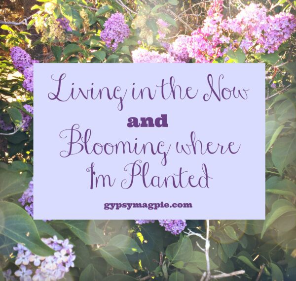 Learning to live in the now and bloom where I'm planted in the house I'm already in {Gypsy Magpie}