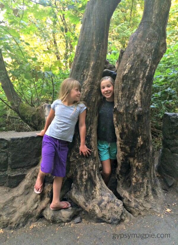 The trail to Multnomah Falls is green and covered with trees! My girls loved exploring the little path. If you have kids, you have to stop there! | Gypsy Magpie