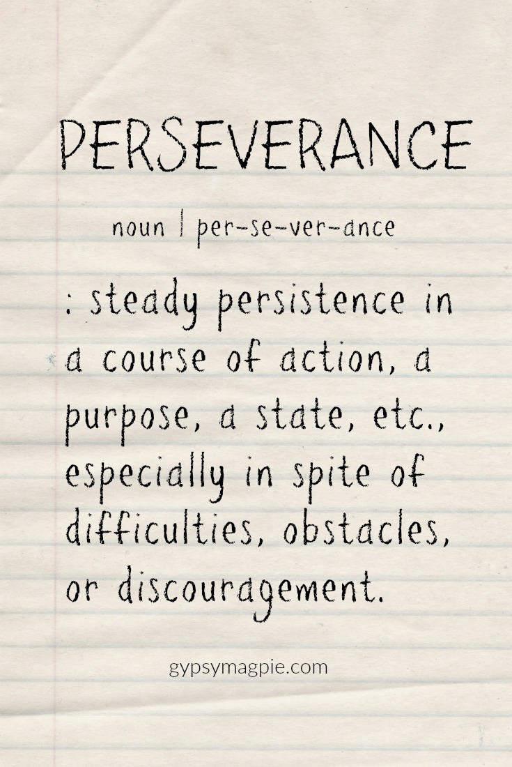 Perseverance: steady persistence in a course of action, a purpose, a state, etc., especially in spite of difficulties, obstacles, or discouragement | Gypsy Magpie