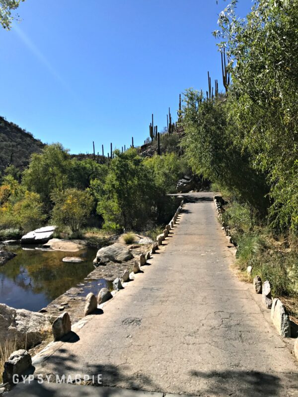 Cool old bridge over the creek in Sabino Canyon near Tucson, Arizona | Gypsy Magpie