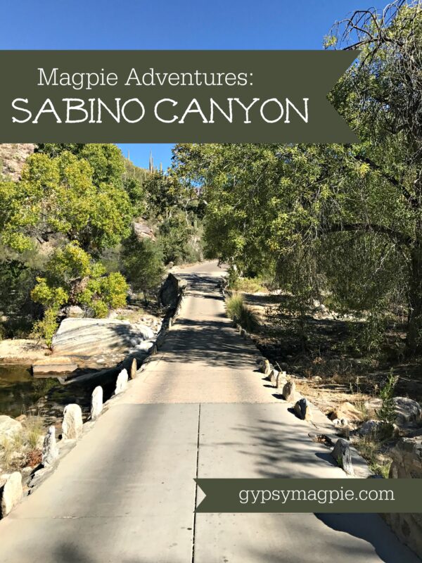 Sabino Canyon... great little day trip adventure that's perfect for families! | Gypsy Magpie