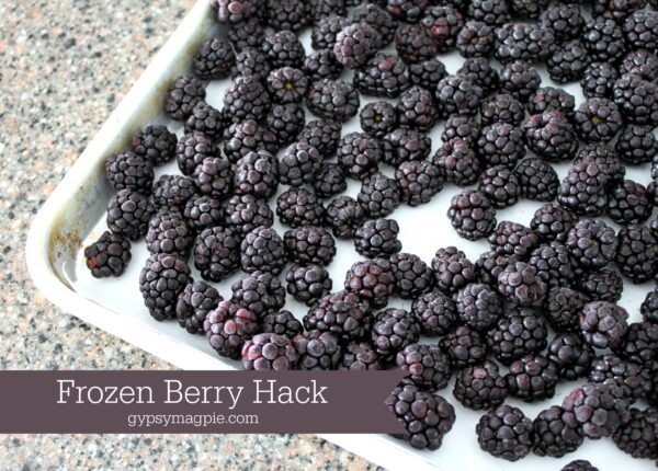 This simple frozen berry hack will saves time and cash! | Gypsy Magpie
