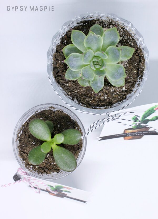 Aren't these teacher gifts adorable? Download the free printable and start planting! 