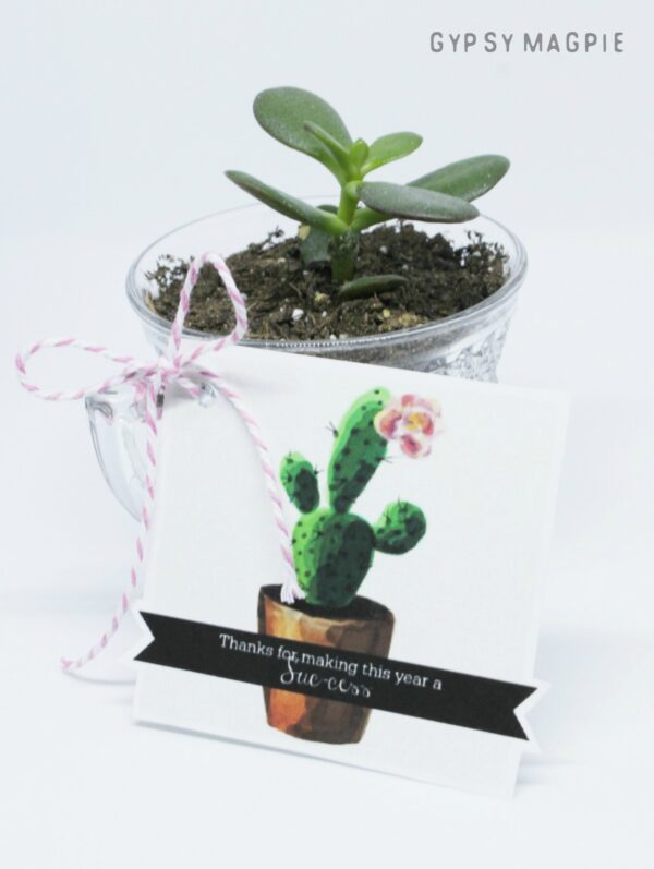 This little succulent teacher gift is quick and easy! Free printable + cute plant = happy teachers! 