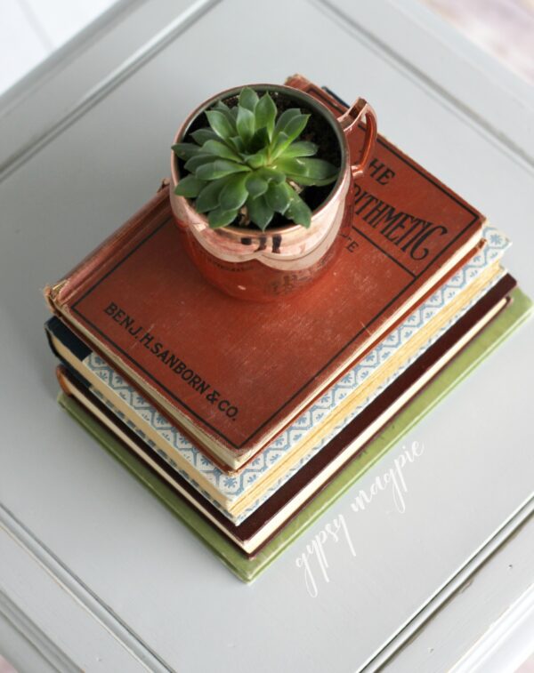 Old books, succulents, and the perfect gray. These are the things decor dreams are made of! | Gypsy Magpie