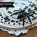 Farmhouse spider web doily | Gypsy Magpie
