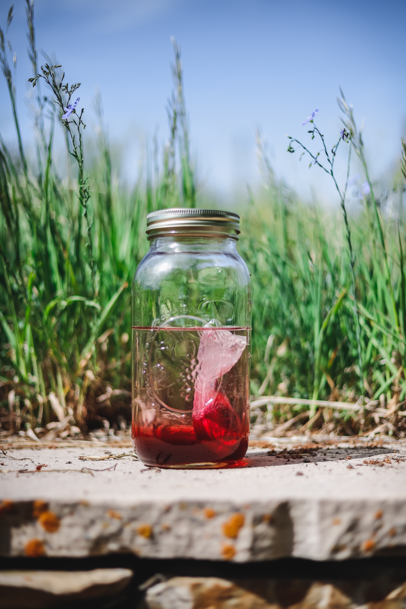 Hibiscus Lemon Herbal Sun Tea Gypsy Magpie