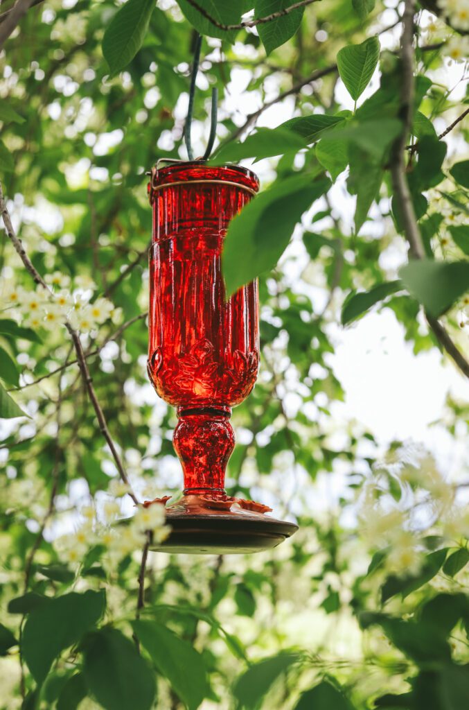 Bring in hummingbirds with a red glass feeder and homemade food