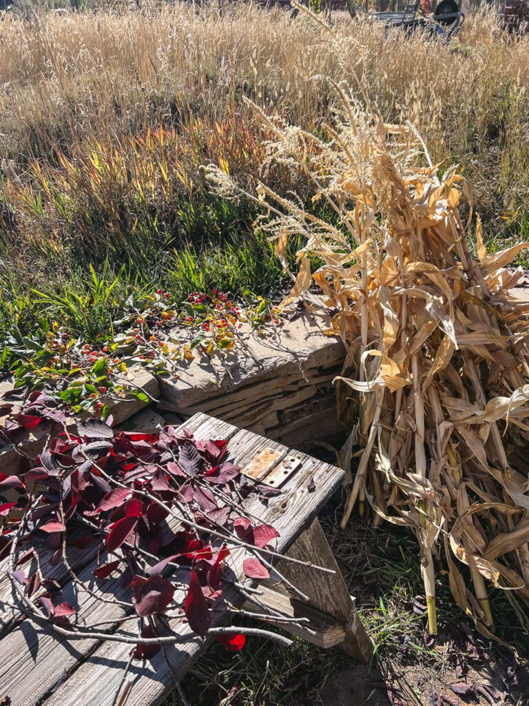 Corn and branches, ready to become a fall wreath