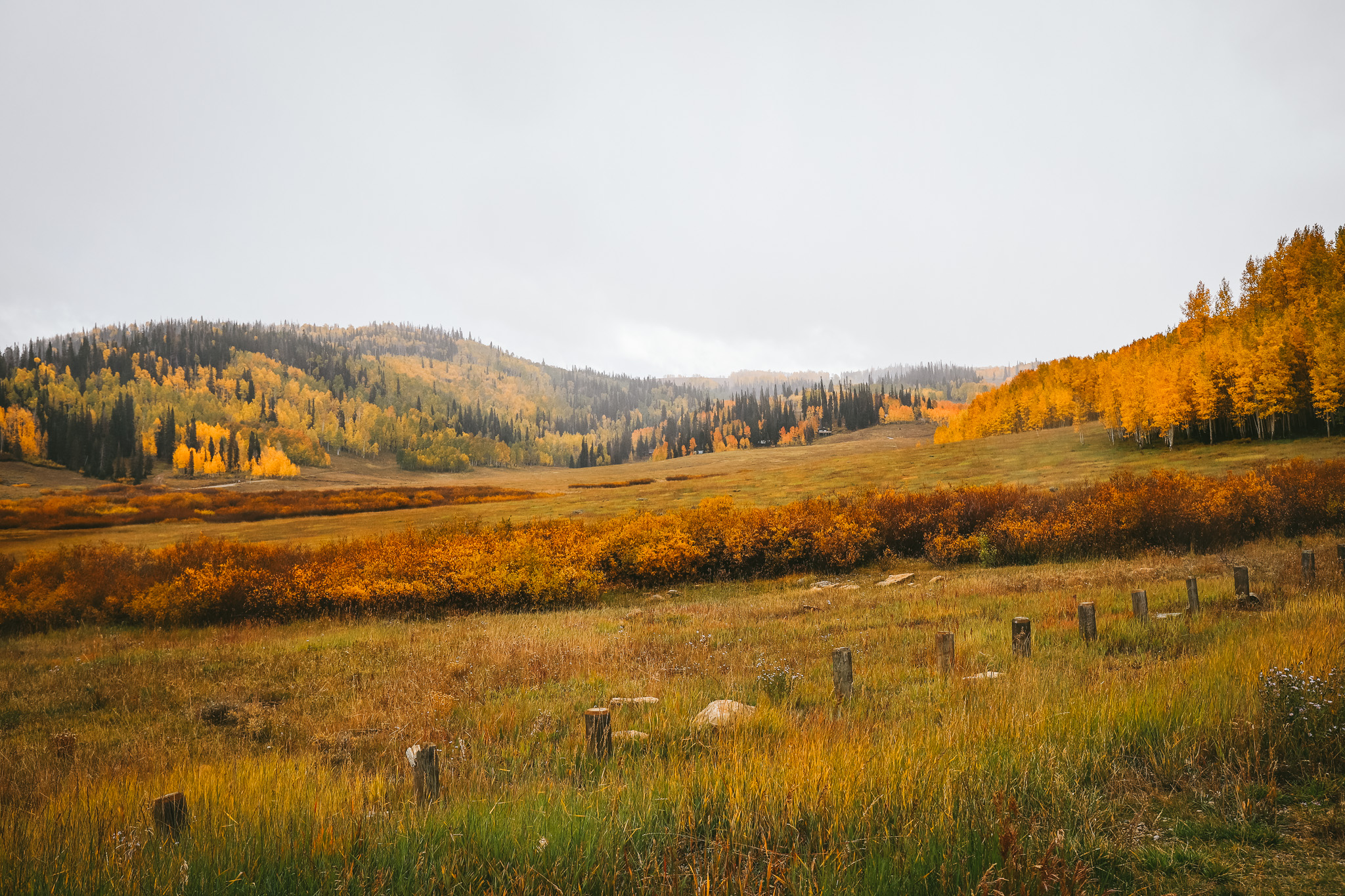 change of season journal prompts